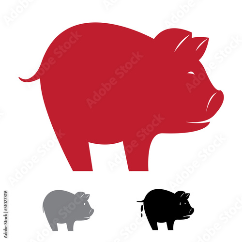 Vector image of an pig on white background