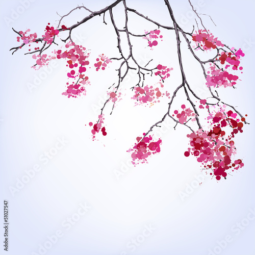 Spring Blooming Sakura branch of blots background © JMC