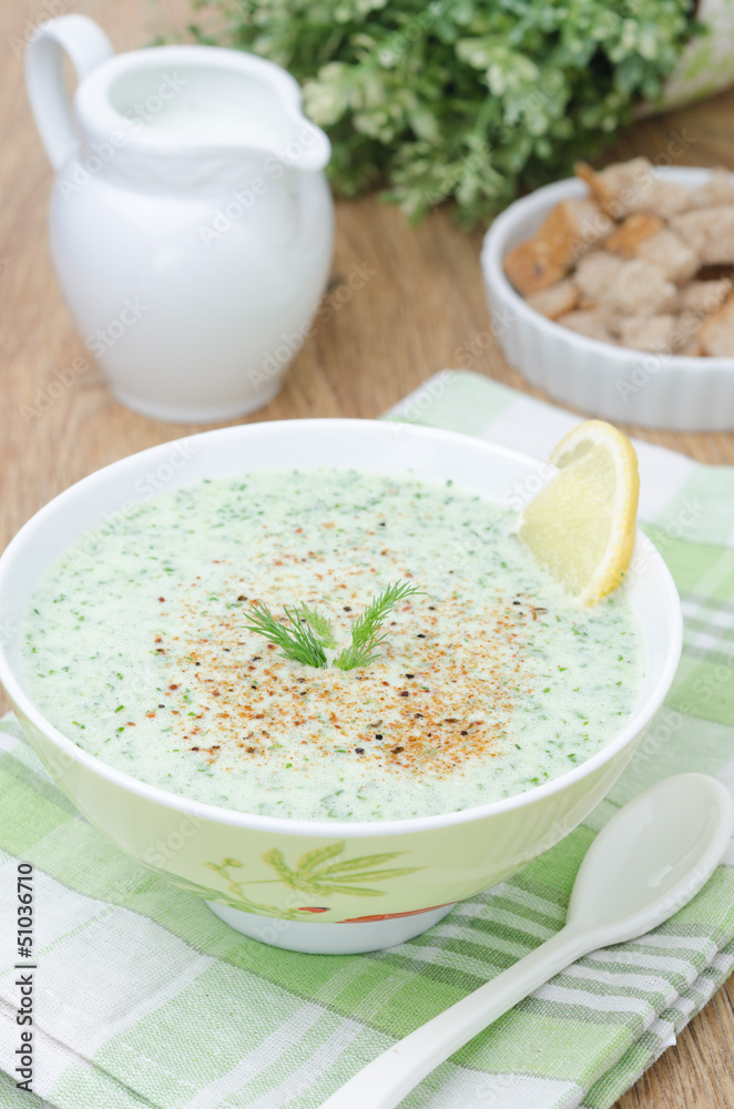 cold soup with kefir and fresh herbs cold soup with kefir and fresh herbs