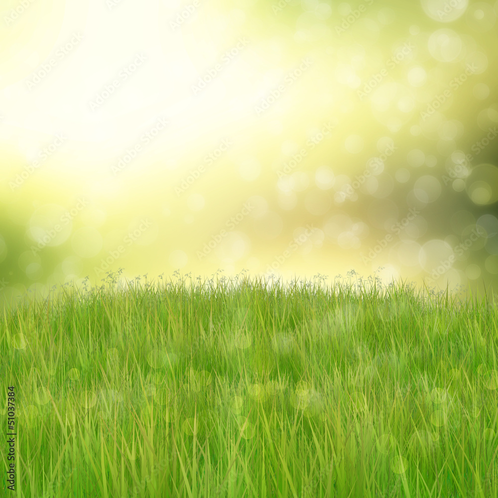 Naklejka Green grass on abstract background