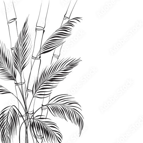 Palm tree over bamboo forest
