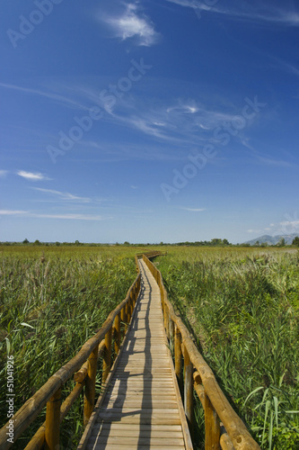 Oasi LIPU massaciuccoli