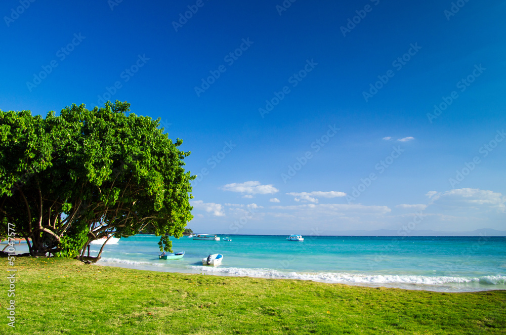 tropical sea tropical sea