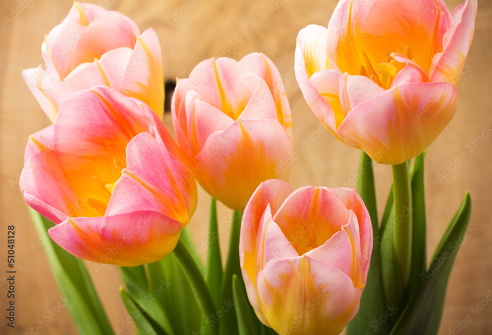 Naklejka premium Tulips.