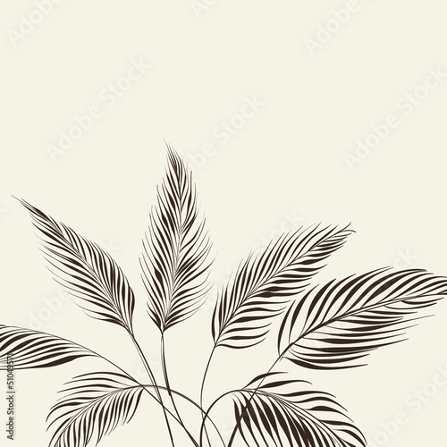 Palm tree over bamboo forest