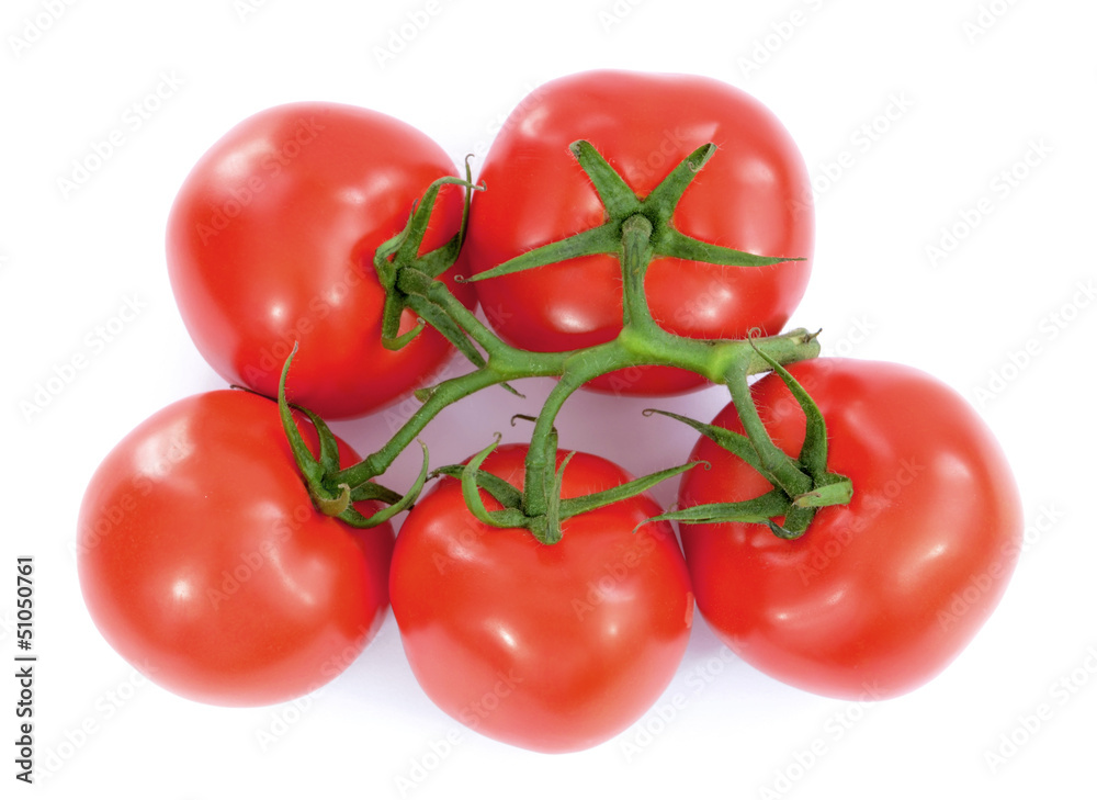 fresh tomatoes with green leaves isolated on white background fresh tomatoes with green leaves isolated on white background