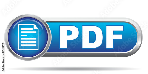 PDF ICON