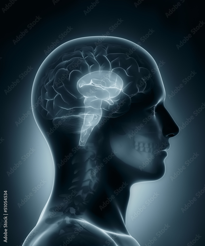 Brain stem medical x-ray scan Brain stem medical x-ray scan