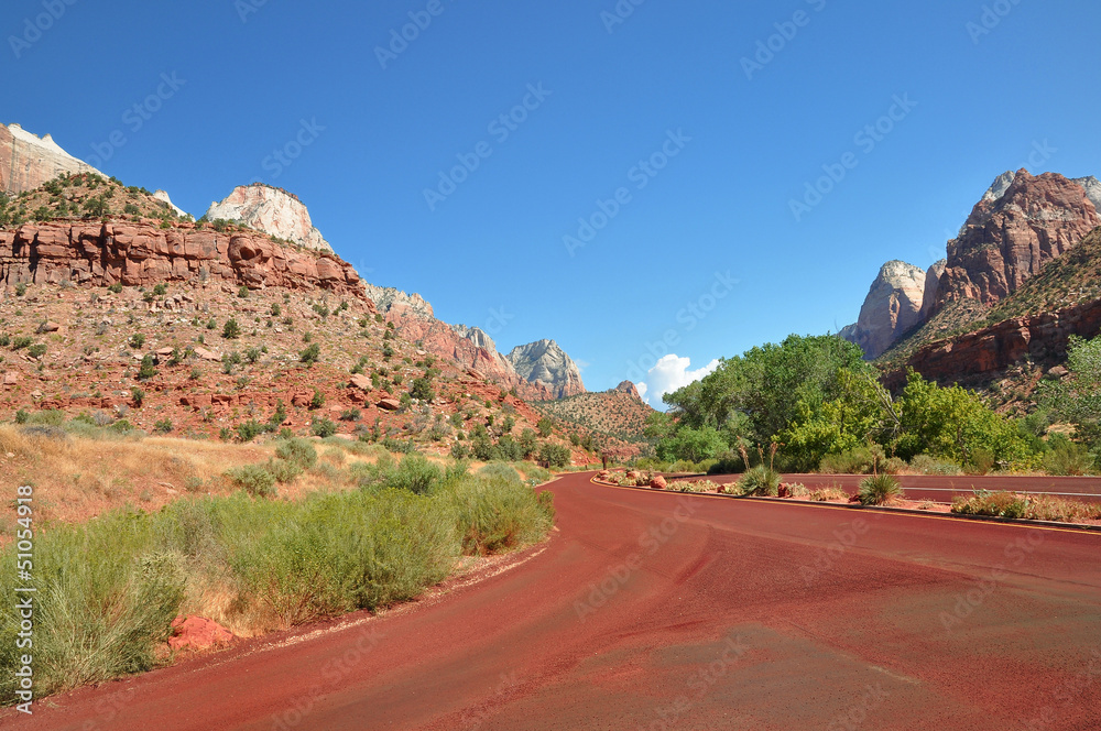 Red road in Zion USA