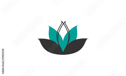 concept lotus bleu