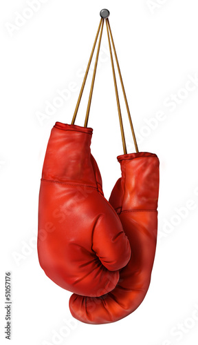 Boxing Gloves Hanging © freshidea