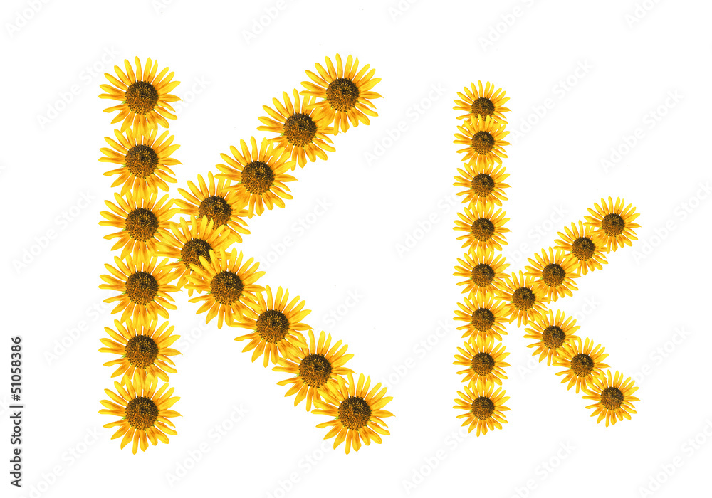 Font flower Font flower