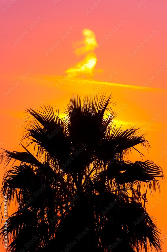 Golden sunset at a mediterranean area