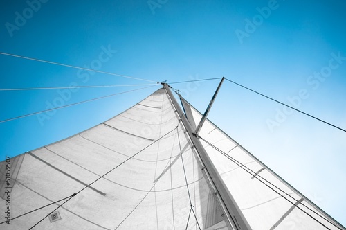 Sail of a sailing boat