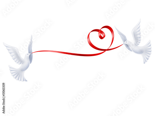 Pigeons with a ribbon in the form of heart