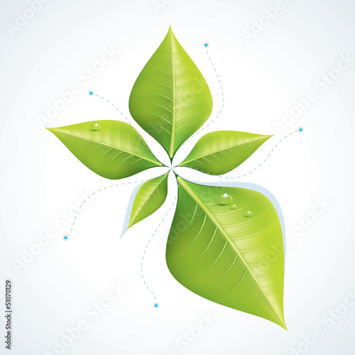 Green economy concept - Leafs inforgaphics EPS10