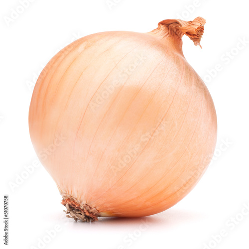 gold onion bulb