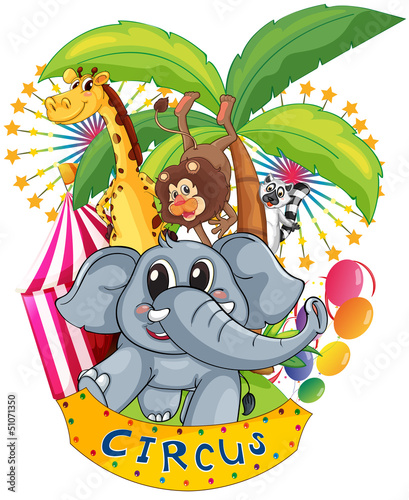 Animals in the circus