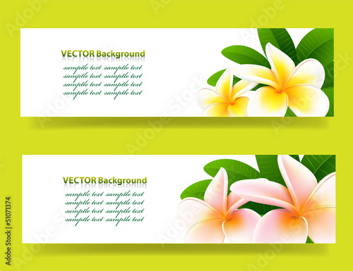 bannner with orchids, floral vector background photo