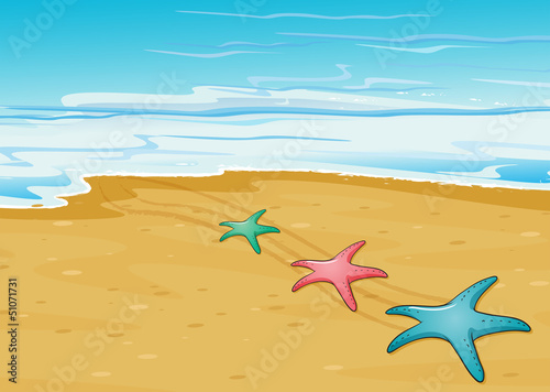Three colorful starfishes in the beach