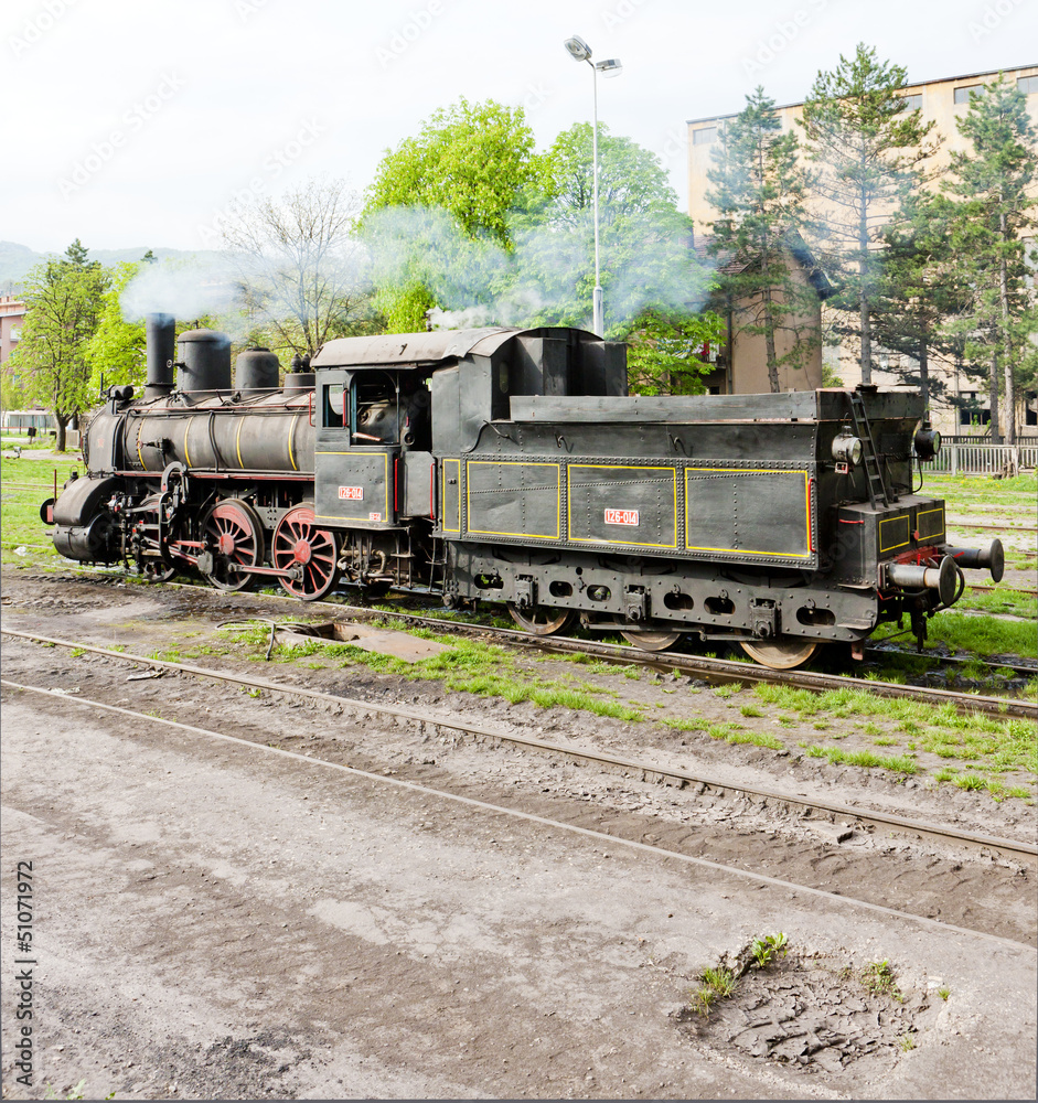 Obraz premium lokomotywa parowa (126.014), Resavica, Serbia