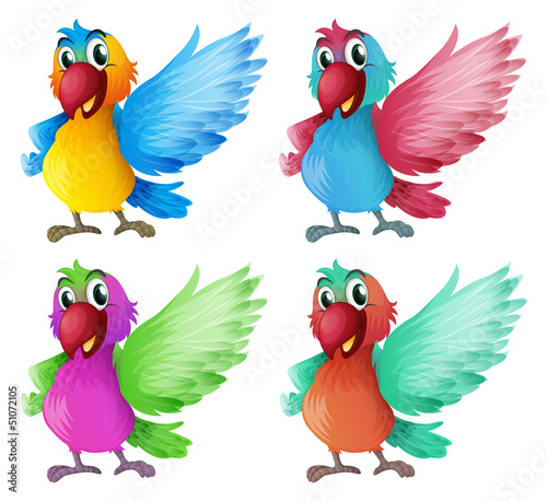 Four adorable parrots