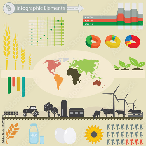 Infographic elements