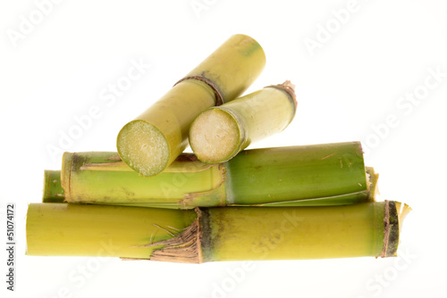 Stumps Of Sugarcane