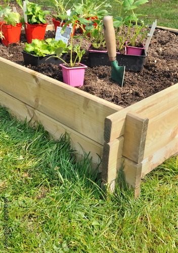 plantation dans bac en bois