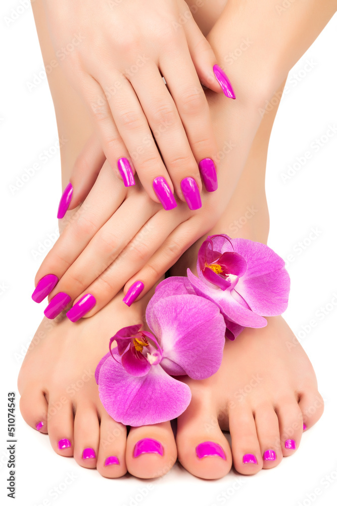 pink manicure and pedicure with a orchid flower - obrazy, fototapety, plakaty 
