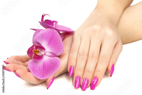 female hands with pink orchid flower. isolated