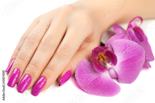female hand with orchid flower. isolated