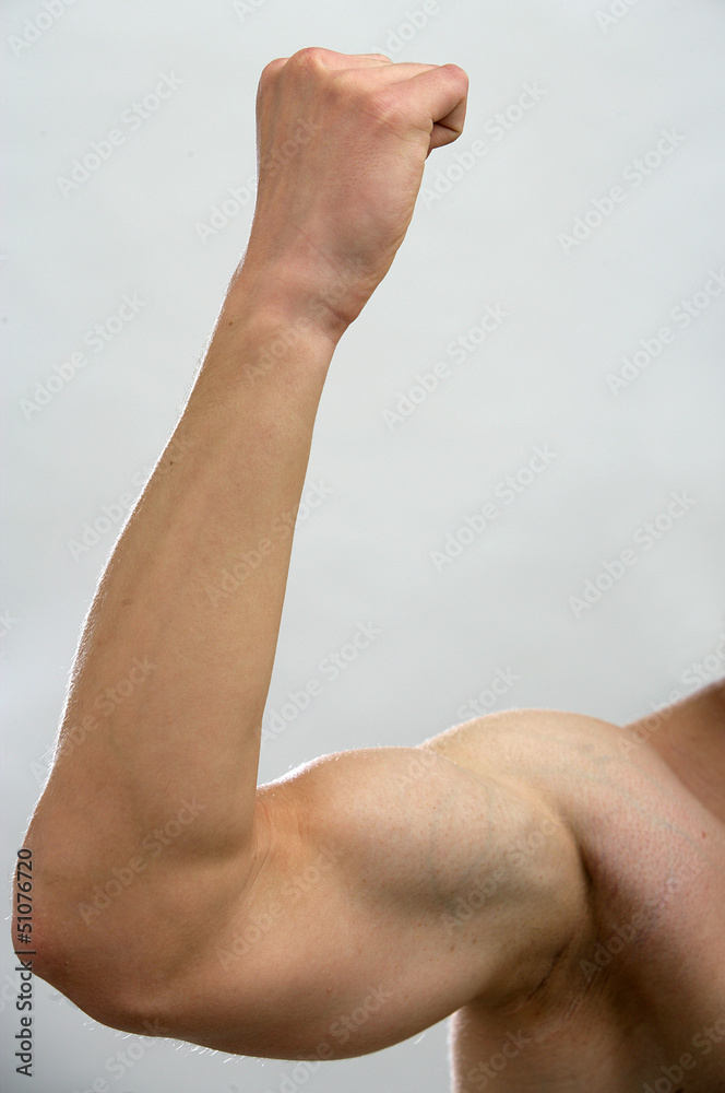 Muskuloeser Arm eines durchtrainierten Sportlers Muskuloeser Arm eines durchtrainierten Sportlers