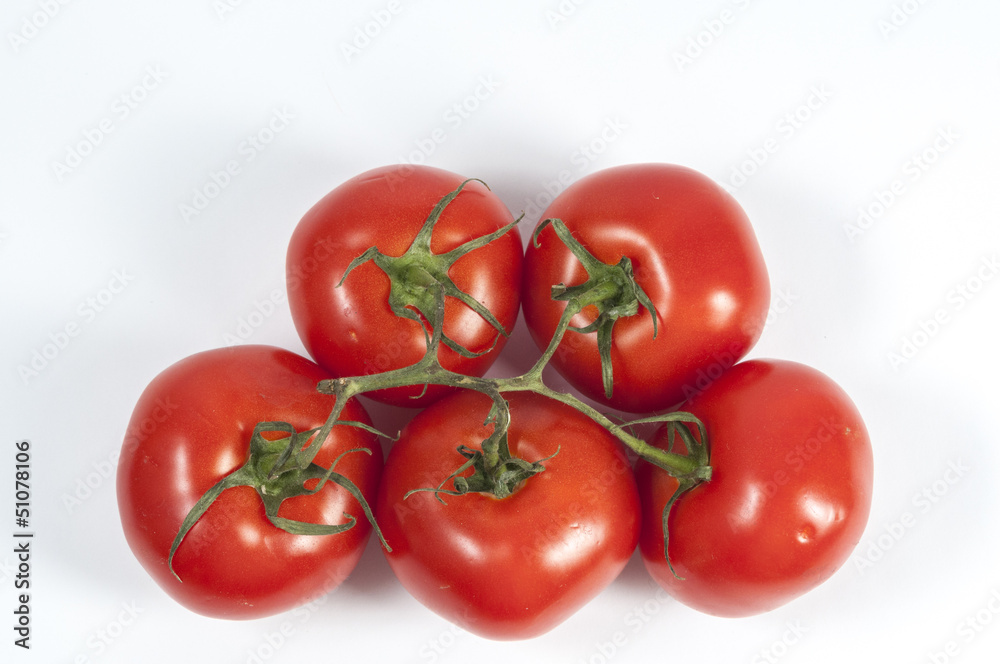 Tomatoe in a vine