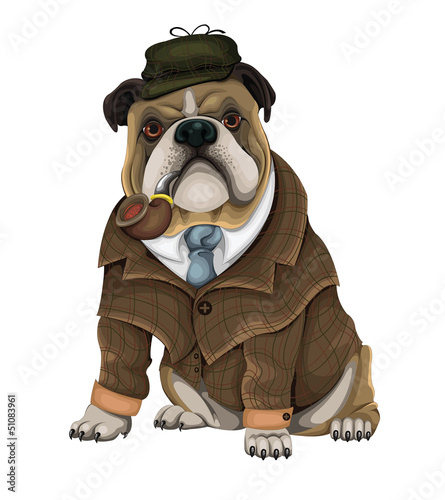 Bulldog Sherlock