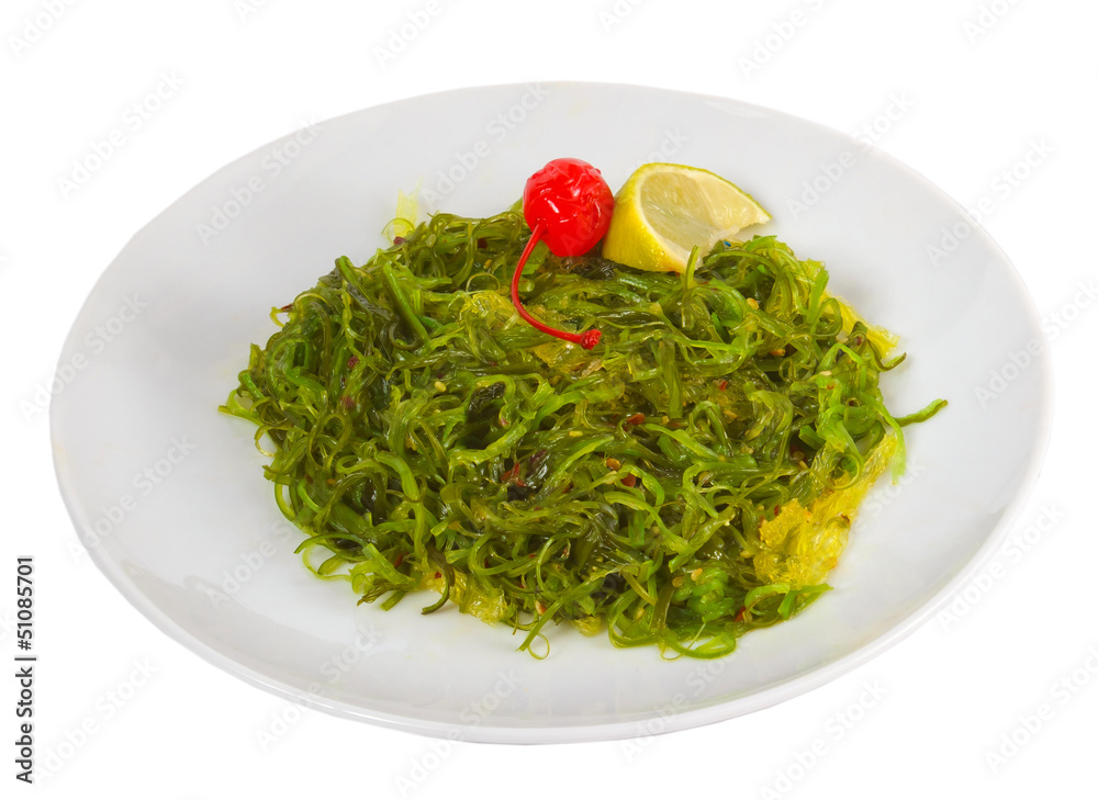 green algae seaweed  isolated on white background clipping path