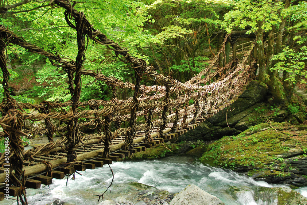 Pont de lianes et bambou Kazura-bashi à Oku Iya, Shikoku - obrazy, fototapety, plakaty 