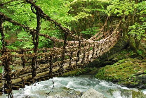 Pont de lianes et bambou Kazura-bashi à Oku Iya, Shikoku #51087145