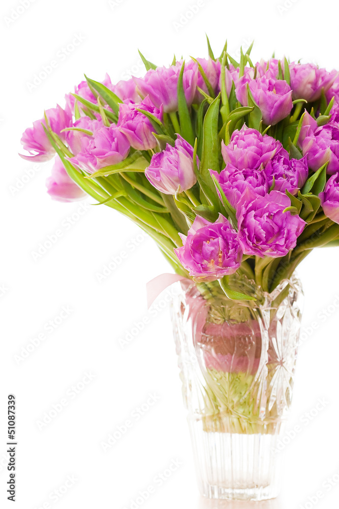 Obraz premium Beautiful purple tulips 