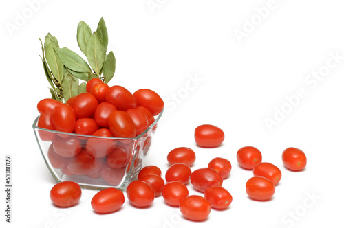 Pomidory 6