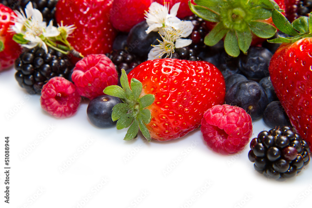 Berries on white Background Berries on white Background