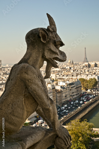 Chimäre vom Notre Dame © petra b.
