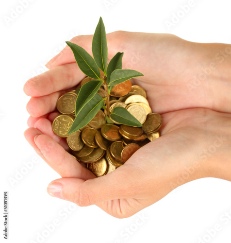 woman's hands are holding a money tree