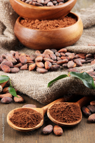 Cocoa powder and cocoa beans on wooden background