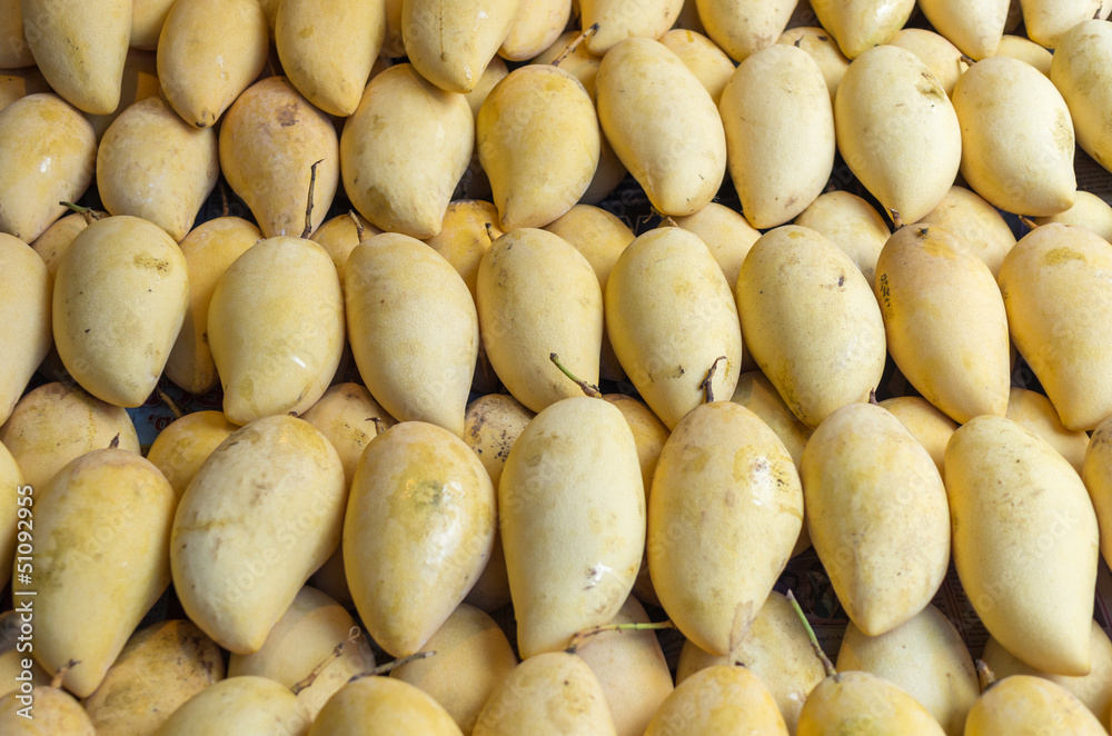 Ripe mangoes. Ripe mangoes.
