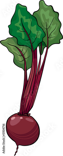 beet vegetable cartoon illustration