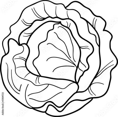 cabbage vegetable cartoon for coloring book