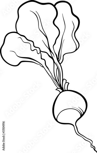 radish vegetable cartoon for coloring book