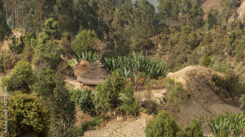 Tatched roof huts photo