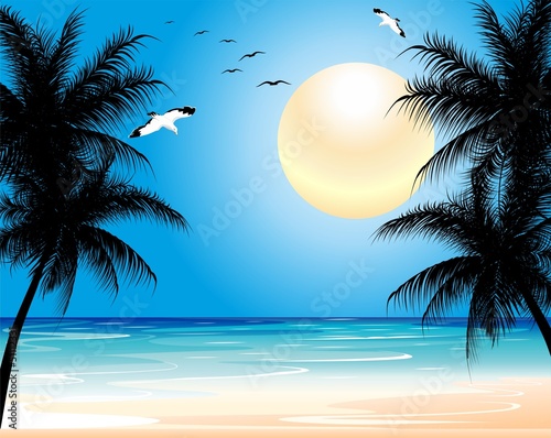 Tropical Exotic Wild Beach-Spiaggia Tropicale Deserta